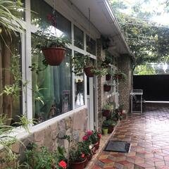 Гостевой дом Марина, Сочи, Краснодарский край