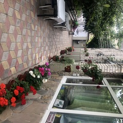 Гостевой дом Марина, Сочи, Краснодарский край