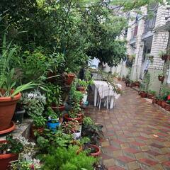 Гостевой дом Марина, Сочи, Краснодарский край