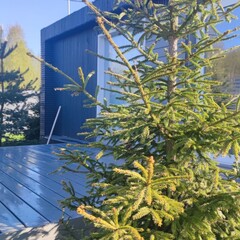 Гостевой дом Semvoda, Всеволожский район, Ленинградская область