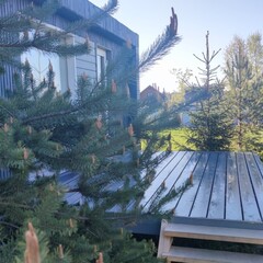 Гостевой дом Semvoda, Всеволожский район, Ленинградская область