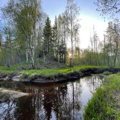 Гостевой дом Semvoda, Всеволожский район, Ленинградская область