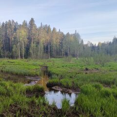 Гостевой дом Semvoda, Всеволожский район, Ленинградская область