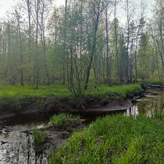 Гостевой дом Semvoda, Всеволожский район, Ленинградская область