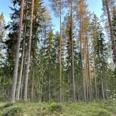 Гостевой дом Semvoda, Всеволожский район, Ленинградская область