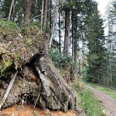 Гостевой дом Semvoda, Всеволожский район, Ленинградская область