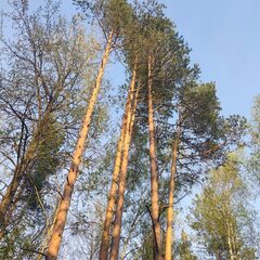 Гостевой дом Semvoda, Всеволожский район, Ленинградская область