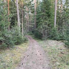 Гостевой дом Semvoda, Всеволожский район, Ленинградская область