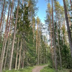 Гостевой дом Semvoda, Всеволожский район, Ленинградская область