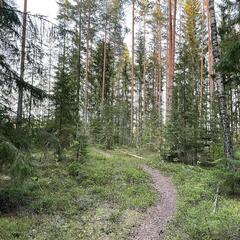 Гостевой дом Semvoda, Всеволожский район, Ленинградская область