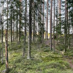 Гостевой дом Semvoda, Всеволожский район, Ленинградская область