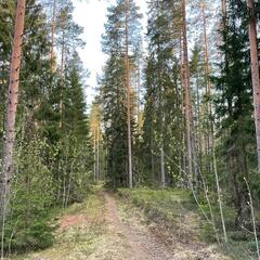 Гостевой дом Semvoda, Всеволожский район, Ленинградская область