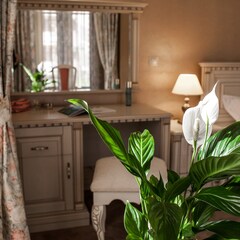 Спа-отель Luciano Hotel&SPA Sochi, Сочи, Краснодарский край