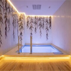 Спа-отель Luciano Hotel&SPA Sochi, Сочи, Краснодарский край