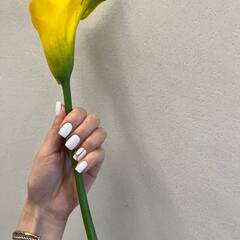 Спа-отель Luciano Hotel&SPA Sochi, Сочи, Краснодарский край