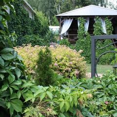 Отель Грин Руф, Республика Удмуртия