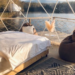 Глэмпинг Шале на воде, Хабаровск, Хабаровский край