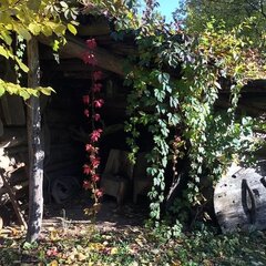 Шале Пахта, Одинцово, Московская область