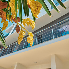 Гостевой дом Madisson Rodina, Краснодарский край