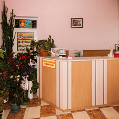 Гостиница Фламинго, Алушта, Крым