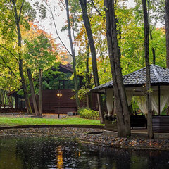 Парк-отель Волынское, Москва, Московская область