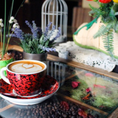 Отель Avshar Club, Красногорский район, Московская область