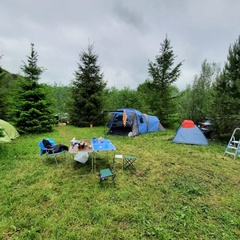 Усадьба Карполов Парк , Нестеровский район, Калининградская область