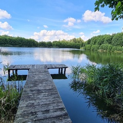 Усадьба Карполов Парк , Нестеровский район, Калининградская область