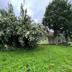 Усадьба Карполов Парк , Нестеровский район, Калининградская область