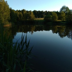 Усадьба Карполов Парк , Нестеровский район, Калининградская область