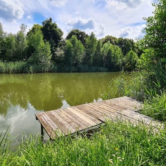 Усадьба Карполов Парк , Нестеровский район, Калининградская область