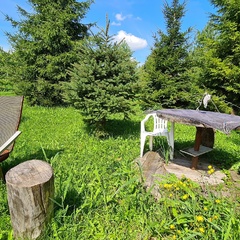 Усадьба Карполов Парк , Нестеровский район, Калининградская область