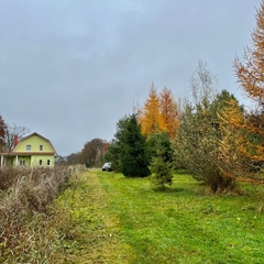 Усадьба Карполов Парк , Нестеровский район, Калининградская область