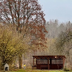 Усадьба Карполов Парк , Нестеровский район, Калининградская область