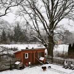 Усадьба Карполов Парк , Нестеровский район, Калининградская область