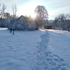 Усадьба Карполов Парк , Нестеровский район, Калининградская область