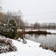 Усадьба Карполов Парк , Нестеровский район, Калининградская область