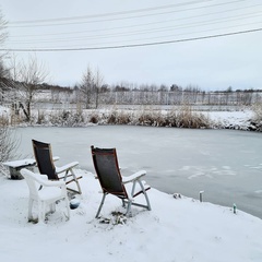 Усадьба Карполов Парк , Нестеровский район, Калининградская область