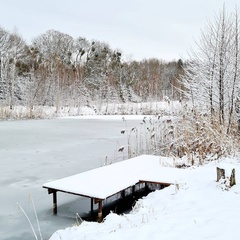 Усадьба Карполов Парк , Нестеровский район, Калининградская область