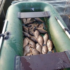 Усадьба Карполов Парк , Нестеровский район, Калининградская область