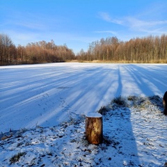 Усадьба Карполов Парк , Нестеровский район, Калининградская область