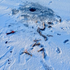 Усадьба Карполов Парк , Нестеровский район, Калининградская область