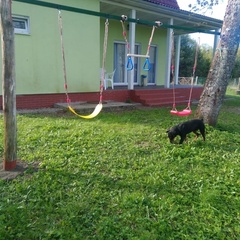 Усадьба Карполов Парк , Нестеровский район, Калининградская область