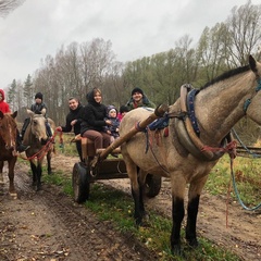 Усадьба Карполов Парк , Нестеровский район, Калининградская область
