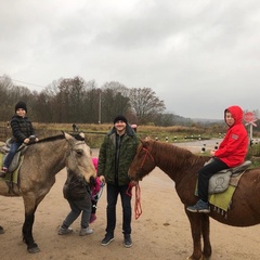 Усадьба Карполов Парк , Нестеровский район, Калининградская область