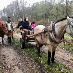Усадьба Карполов Парк , Нестеровский район, Калининградская область