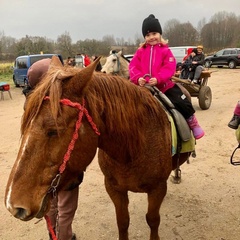 Усадьба Карполов Парк , Нестеровский район, Калининградская область
