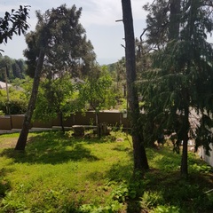 Коттедж в Уч-Дере, Сочи, Краснодарский край