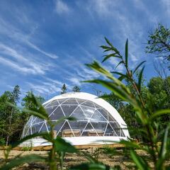 Глэмпинг Заповедные Места, Хабаровский край