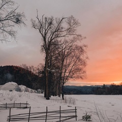 Глэмпинг Заповедные Места, Хабаровский край